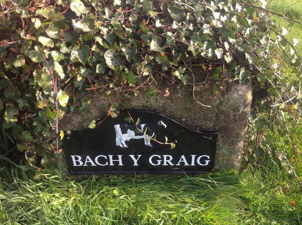 Bach Y Graig Hotel St Asaph Ngoại thất bức ảnh
